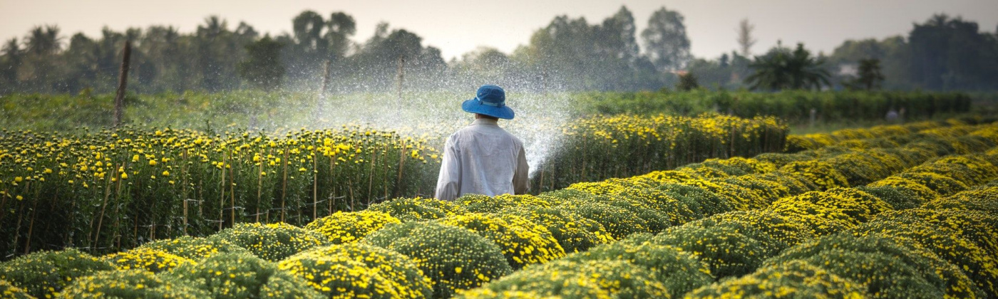 The benefits of ecological farming