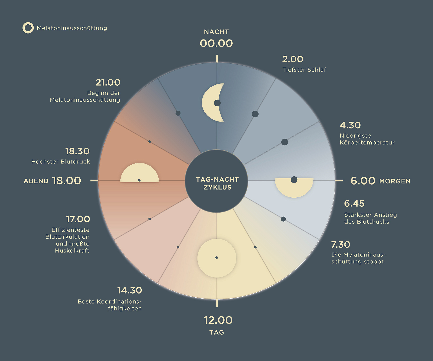 Die Melatonin Ausschüttung im Schlaf-Wach-Rhythmus